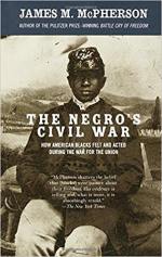 The Negro's Civil War: How American Blacks Felt and Acted During the War for the Union