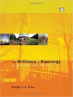 The Brilliance of Bioenergy: In Business and Practice